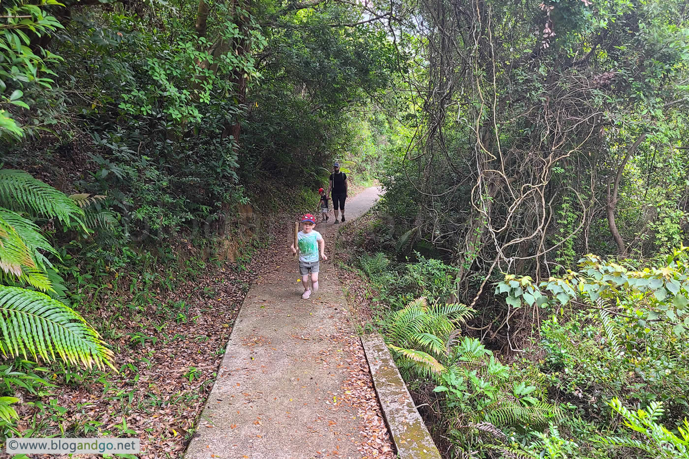 Tung O Trail - Somewhere on the Trail